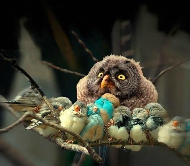 Smash Talks: Cap Dat